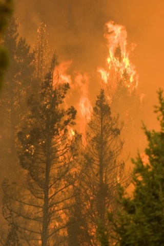    Kari Greer/ NIFC (creative commons license); Castle Rock Fire, Ketchum, ID 2007; National Interagency Fire Center Photo Gallery